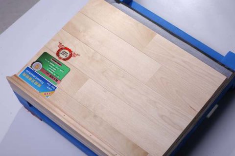 校企共贏，運動木地板產業新行標
