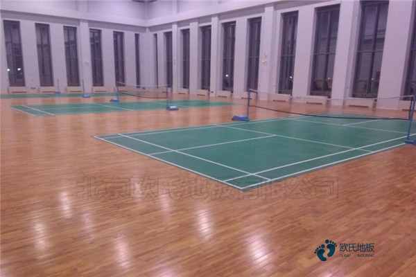 楓樺木運動籃球木地板需要多少錢